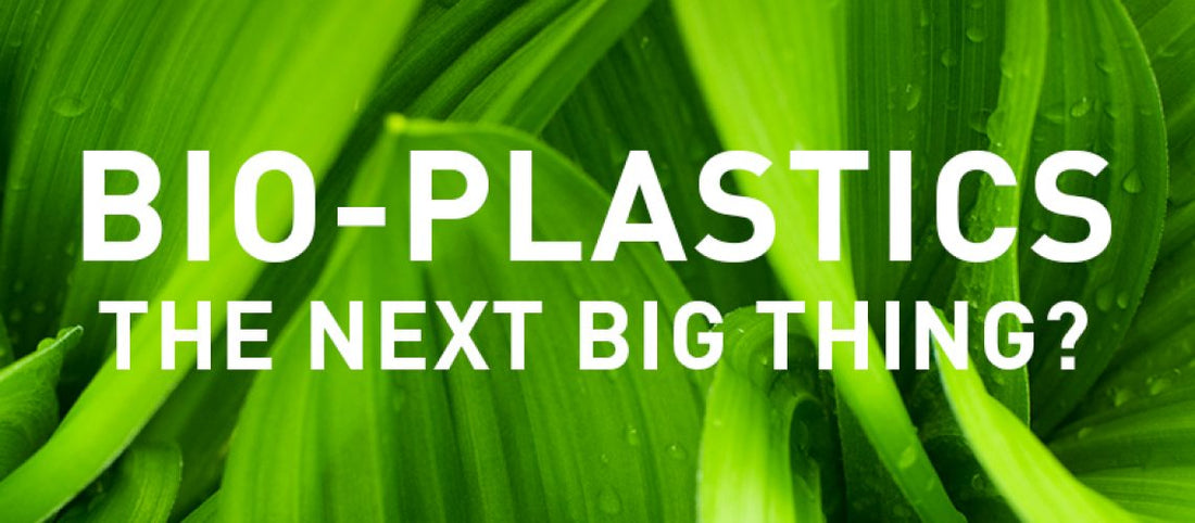 A beginner’s guide to bioplastic